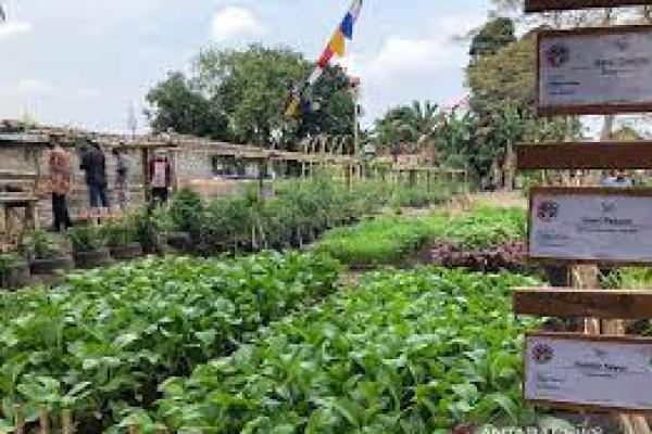Food Estate Yogyakarta Untuk Penanganan Stunting Hingga Wisata
