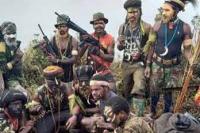 Indonesia Resmi Nyatakan TPNPB-OPM Papua Sebagai Teroris