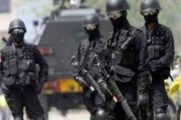 Polisi Kaji Pelibatan Densus 88 Tangani Kelompok Bersenjata di Papua