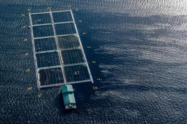 Patut Ditiru, Begini Cara Qatar Hadapi Perubahan Iklim