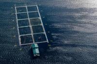 Patut Ditiru, Begini Cara Qatar Hadapi Perubahan Iklim