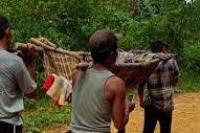 Tujuh Tewas Dalam Longsor di Tambang Emas di Sumatera Barat