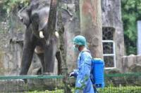 Calon Pengunjung Ragunan Putar Balik 