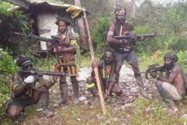 Polisi Identifikasi 150 Anggota TPNPB-OPM Papua