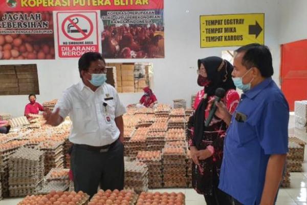 Stabilkan Pasokan dan Harga, Kementan Subsidi Distribusi Jagung