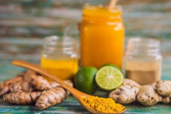 IDI Dorong Pengembangan Jamu untuk Medis