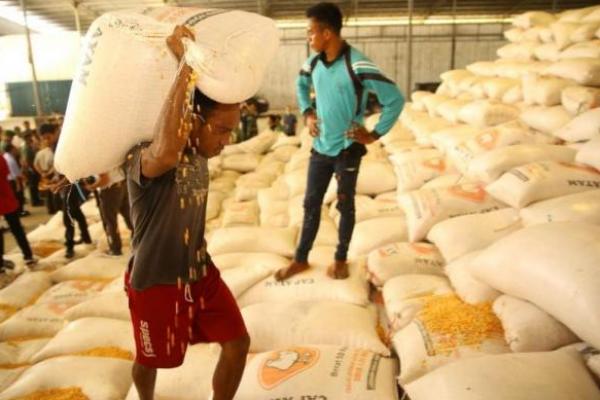 Bantu Kirim Jagung Stabilkan Harga Pakan, Peternak Pinsar: Terima Kasih Pak Mentan