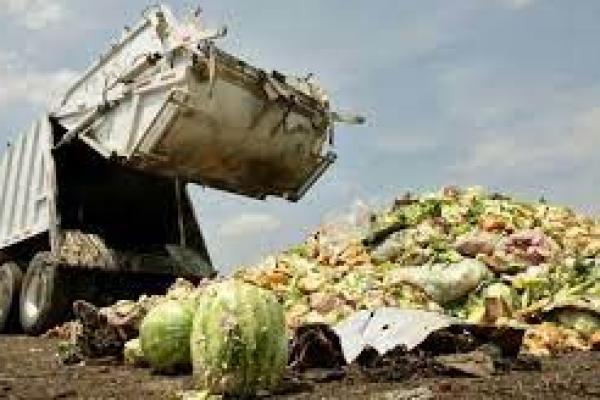 Bappenas: Limbah Makanan Capai 48 Juta Ton Pertahun