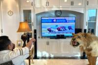 Walau Kalah, Mario Membuat Bangga Indonesia