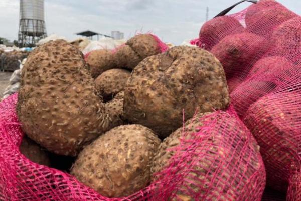 Komisi IV Sayangkan Pemotongan Anggaran Kementan, Begini Penjelasnnya!