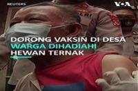Hewan Ternak Untuk Dorong Vaksinasi di Pedesaan
