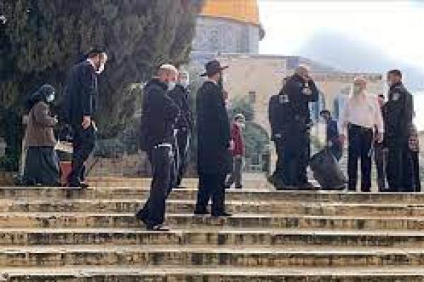 Pemukim Israel Gelar Pawai di Tepi Barat Dikawal Tentara Israel