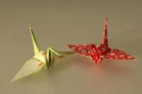 Hanya Butuh Sembilan Jam Lipat Seribu Origami, Remaja ini Cetak Rekor Dunia