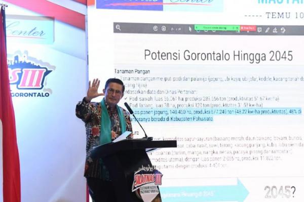 Atasi Dampak Pandemi, Jagung Bisa Jadi Primadona Ekspor Gorontalo