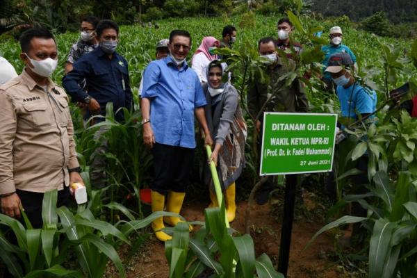 Beri Bantuan Bibit Buah, Fadel Minta Dimanfaatkan Dengan Sungguh-sungguh