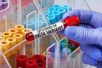 WHO: Varian Delta Covid-19 Akan Berkembang Jadi Varian Baru