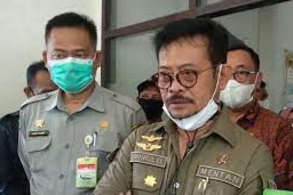Mentan: Tidak Ada Rencana PPN Sembako 