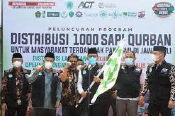 ACT Masif Distribusikan Hewan Qurban dan Operasi Pangan