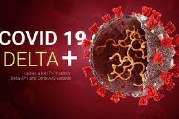 3 Kasus Covid-19 Varian Delta Plus Ditemukan di Jambi dan Mamuju