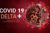 3 Kasus Covid-19 Varian Delta Plus Ditemukan di Jambi dan Mamuju