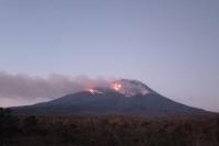 Lava Pijar Gunung Ile Lewotolok Sebabkan Kebakaran Hutan di Lereng