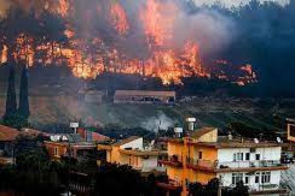 Puluhan Lokasi Kebakaran Hutan di Turki Sudah Terkendali