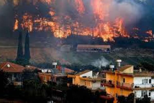 Api Dekati Pemukiman di Turki Selatan, Warga Dievakuasi