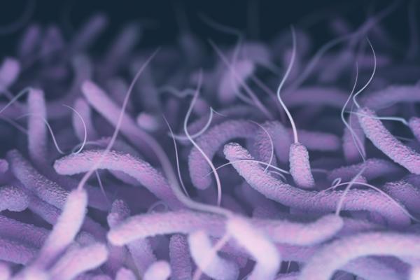 12 Orang Niger Tewas Terinfeksi Kolera