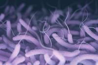 12 Orang Niger Tewas Terinfeksi Kolera