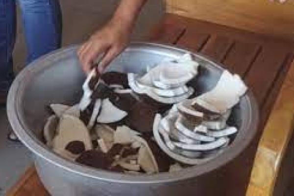 Dampak Popularitas Minyak Kelapa Asli (VCO) pada UKM