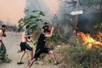 Kebakaran Hutan di Aljazair Tewaskan 65 Orang 