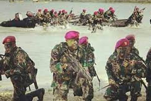 Marinir Bakal Latihan Bersama di AS Pada September