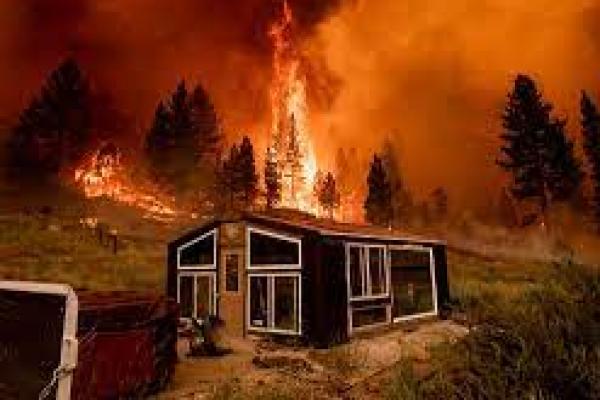 Asap Kebakaran Meluas di Amerika