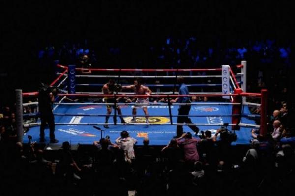 Tim Tinju Yaman Gagal Berpartisipasi di Kejuaraan Tinju Asia