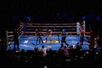 Tim Tinju Yaman Gagal Berpartisipasi di Kejuaraan Tinju Asia