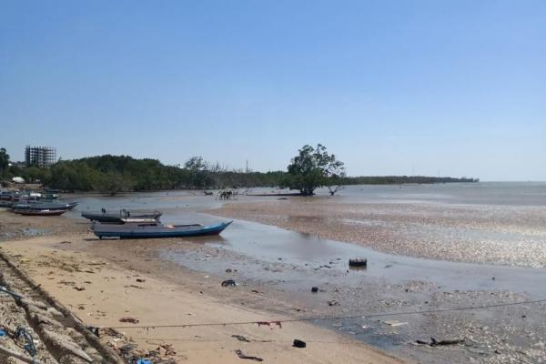 12 Tahun Pencemaran Laut Timor, Penderitaan Yang Harus Selesai!