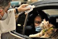 Percikan Air Suci Untuk Hewan Peliharaan Dalam Perayaan Santo Roch di Bolivia 