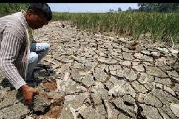 BNPB Ingatkan Nusa Tenggara Bersiap Hadapi Kekeringan