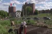 Upaya Mengatasi Gurun Makanan di Permukiman Miskin