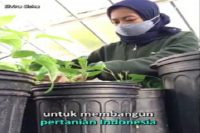 Magang di New York, Warga Surabaya Harap Bisa Bangun Pertanian RI