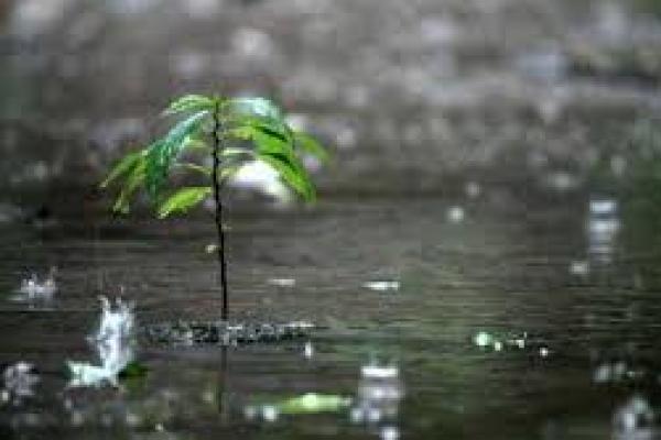 Potensi Hujan Sedang, Lebat Serta Angin Kencang di Beberapa Daerah