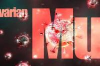 Virus Korona Varian Mu Belum Ada di Indonesia