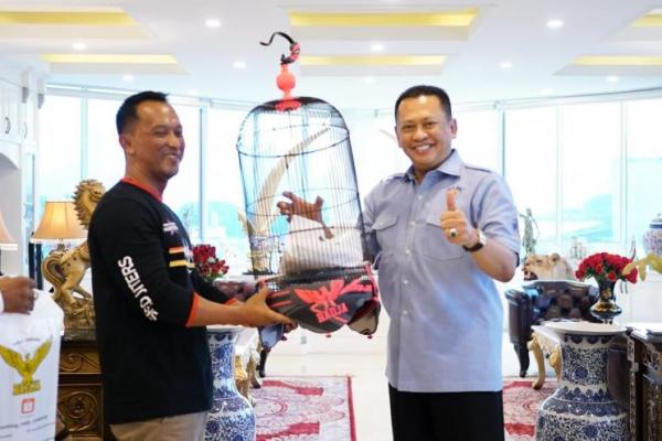 Besarnya Perputaran Uang Bisnis Burung Bisa Jadi Musibah Karena Perburuan Liar 