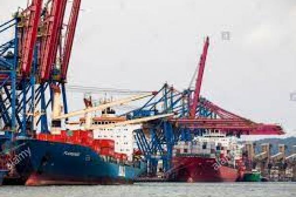 Kesulitan Dapat Kontainer, Ekspor Kopi Brazil Anjlok 27 Persen