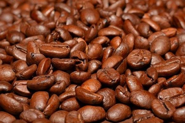 BPS Sebut Tiga Komoditas Pendongkrak Ekspor Pertanian Oktober 2021