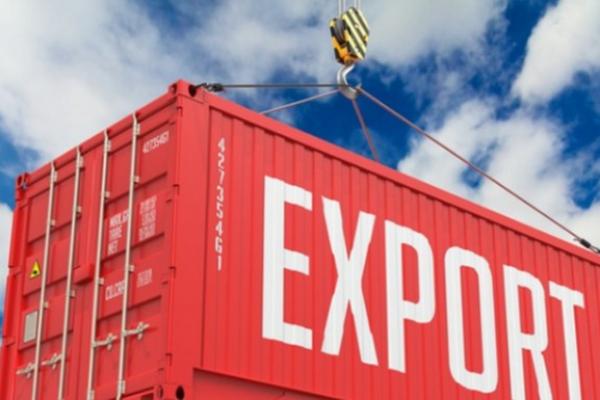 Profesionalitas, Ketaatan Pajak Krusial Dalam Menjalankan Usaha Ekspor