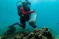 Peringati Hari Pembersihan Dunia, Penyelam Filiphina Bersihkan Sampah di Lautan