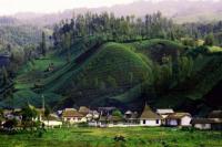 Kemenparekraf Berharap ADWI Bisa Bantu Bangkitkan Desa Wisata