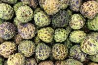 Taiwan Ancam akan Perkarakan China ke WTO