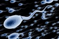 Tak Kunjung Punya Anak? Cek Sperma Dulu